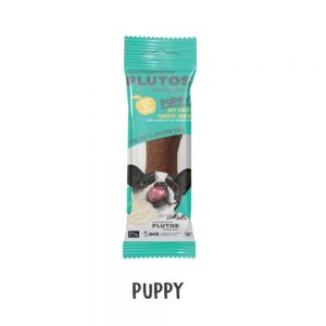 0005_גורים-300x300