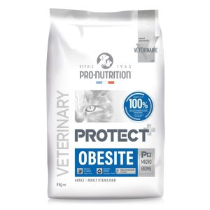 אובסיטי-חתול-300x300